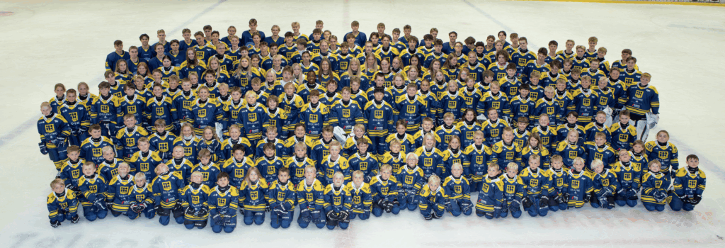 Hockeyshop.dk er nu blevet en del af Hockeystore!