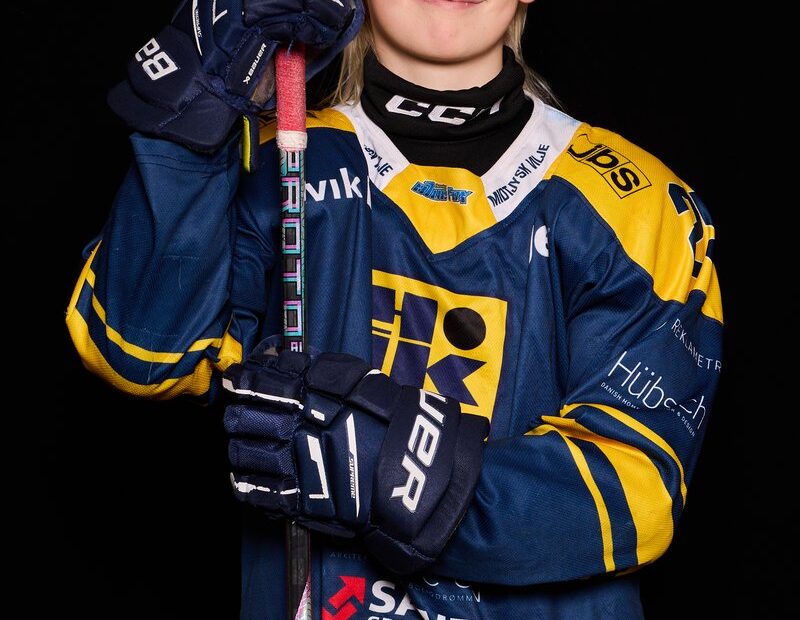Marius N. Stefansen